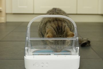 Surefeed Mikrochip Futterautomat für Katzen