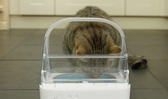 Surefeed Mikrochip Futterautomat für Katzen