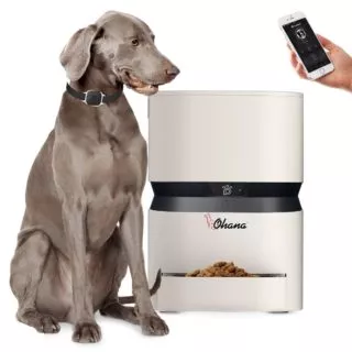 XXL Futterautomat - ohana automatic feeder