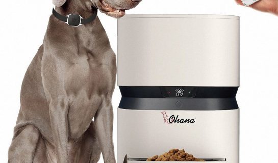 XXL Futterautomat für Katzen und Hunde – Ohana Automatic Feeder