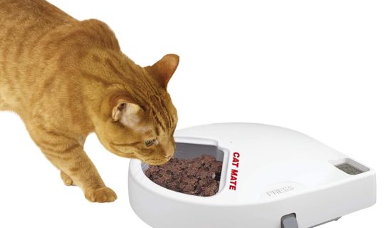 PetMate Cat Mate C500 Futterautomat für 5 Mahlzeiten