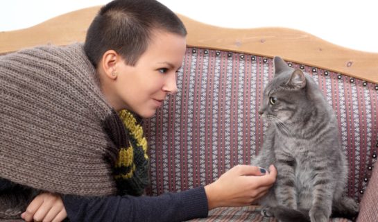 Urlaubsbetreuung für Katzen – Dein Katzensitter in Deiner Nähe